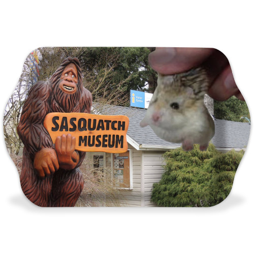 Design 654472 Rolling Trays