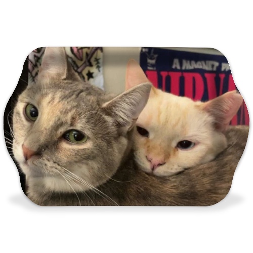 Design 655498 Rolling Trays