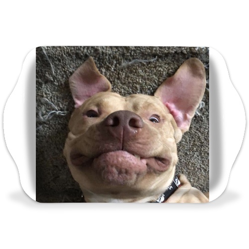 Design 655536 Rolling Trays