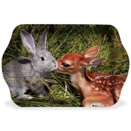 Design 655662 Rolling Trays Image