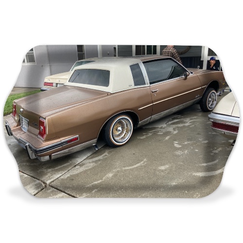 Design 655779 Rolling Trays Image