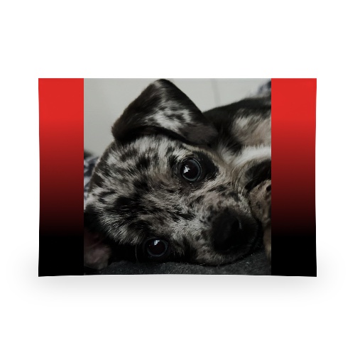 Design 656965 Rolling Trays