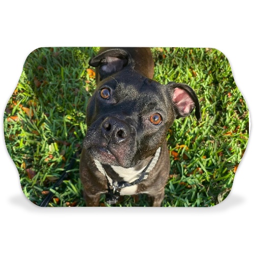 Design 657162 Rolling Trays