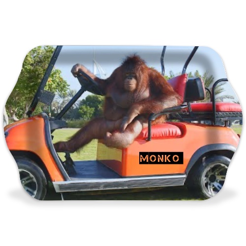 Design 657521 Rolling Trays