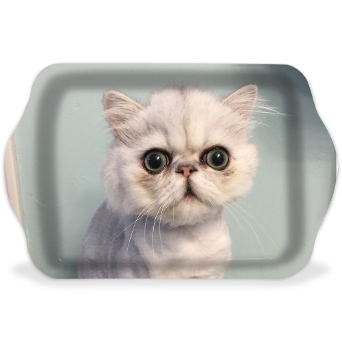 Design 657545 Rolling Trays