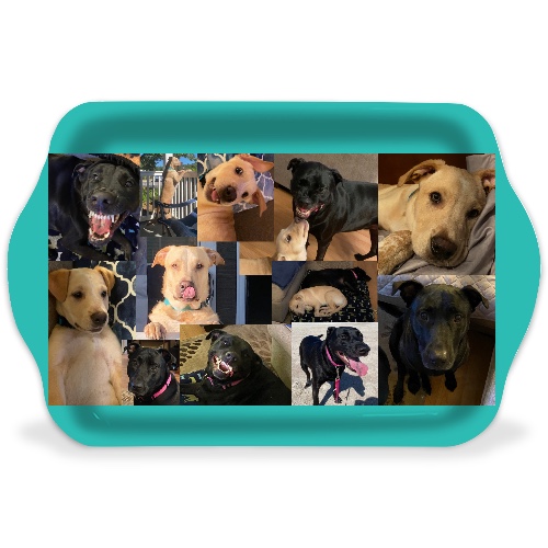 Design 658115 Rolling Trays Image