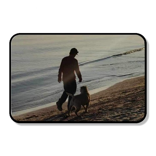 Design 658775 Rolling Trays