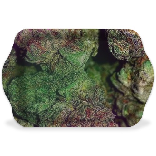 Design 660277 Rolling Trays