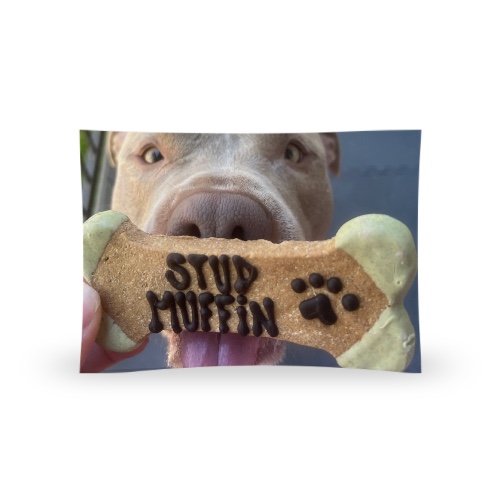 Design 661903 Rolling Trays