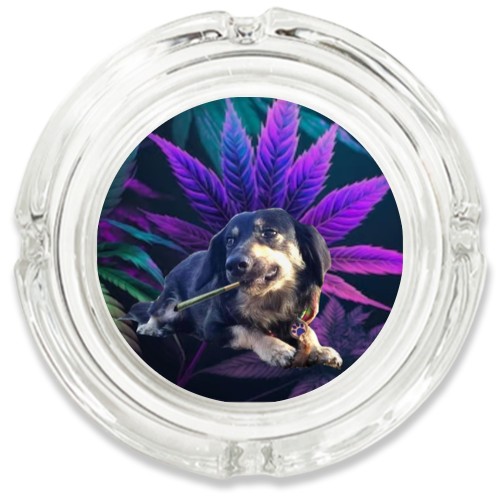 Design 662108 Rolling Trays