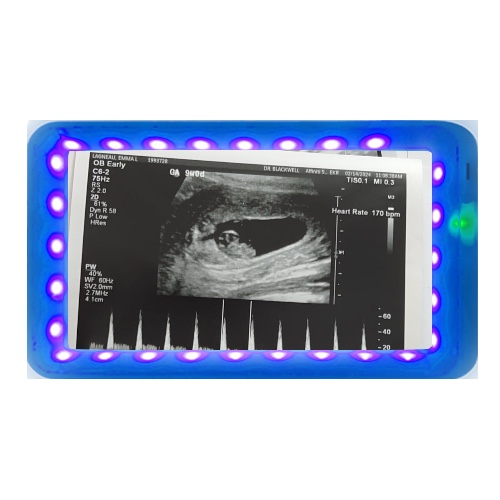 Design 662801 Rolling Trays