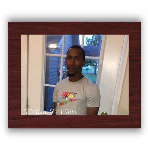 Design 664114 Rolling Trays