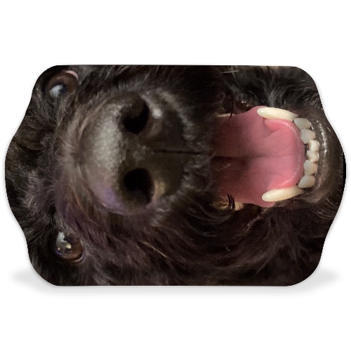 Design 664547 Rolling Trays