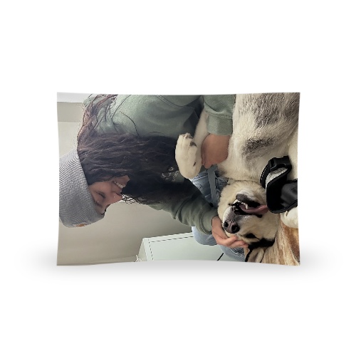 Design 665285 Rolling Trays