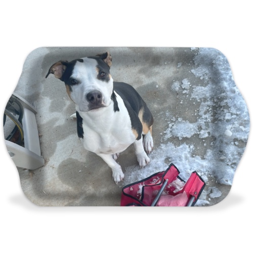 Design 667492 Rolling Trays