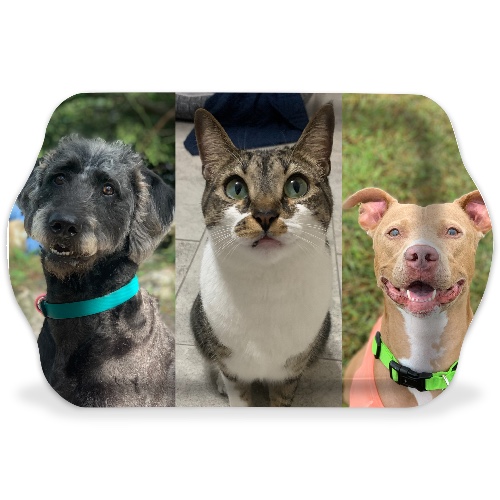 Design 667633 Rolling Trays Image
