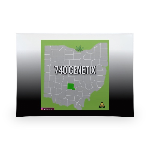 Design 669060 Rolling Trays