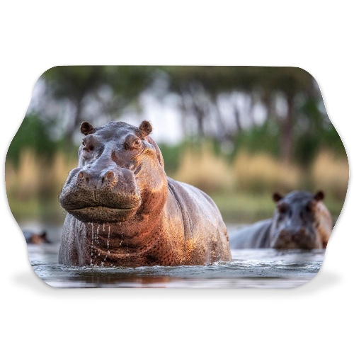 Design 669436 Rolling Trays Image