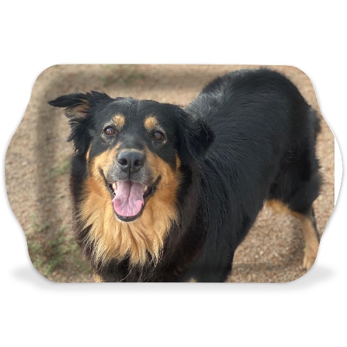 Design 669874 Rolling Trays