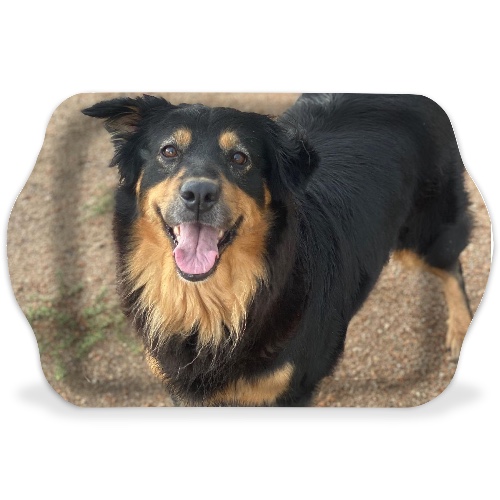 Design 669895 Rolling Trays