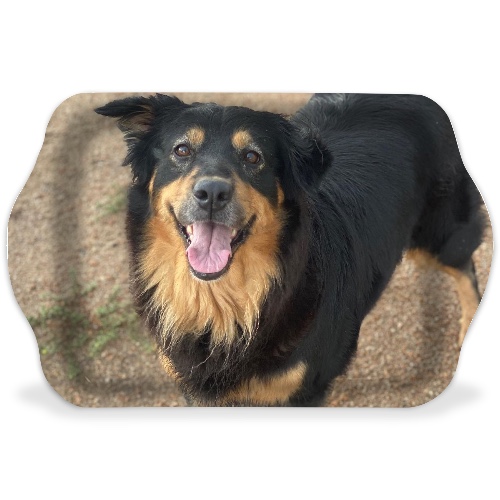 Design 669896 Rolling Trays