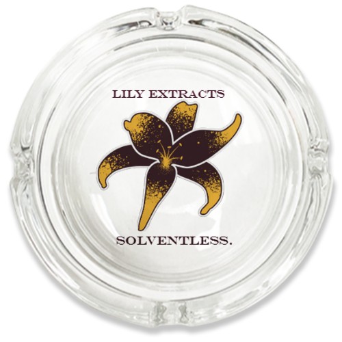 Design 670016 Rolling Trays