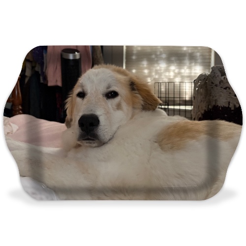Design 670347 Rolling Trays