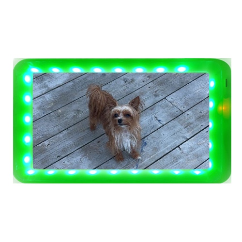 Design 670446 Rolling Trays