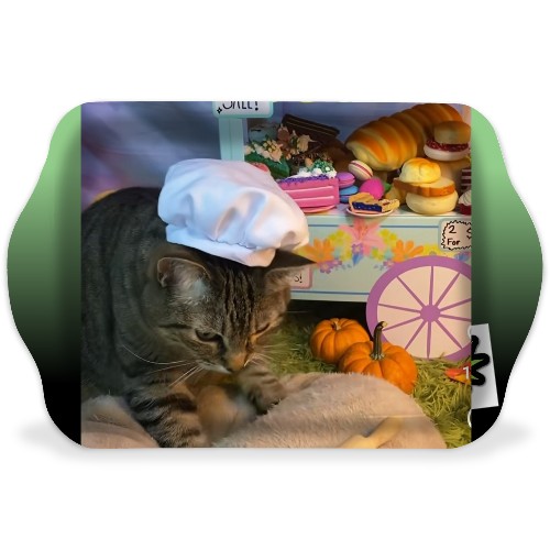 Design 670499 Rolling Trays