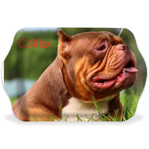 Design 670861 Rolling Trays Image