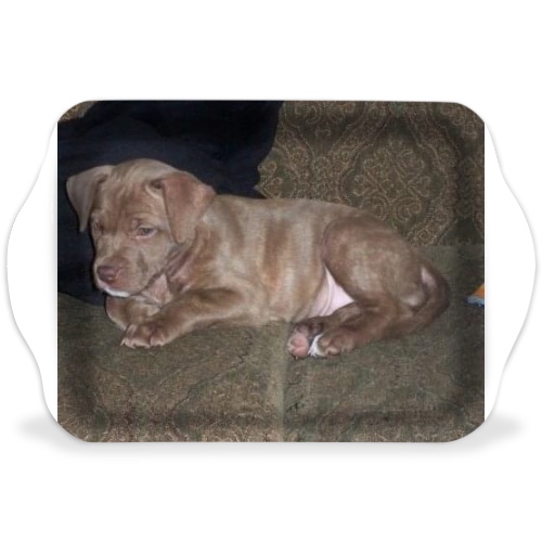 Design 670975 Rolling Trays