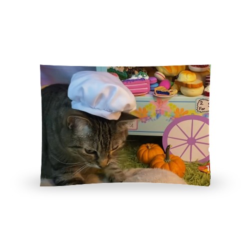 Design 670994 Rolling Trays