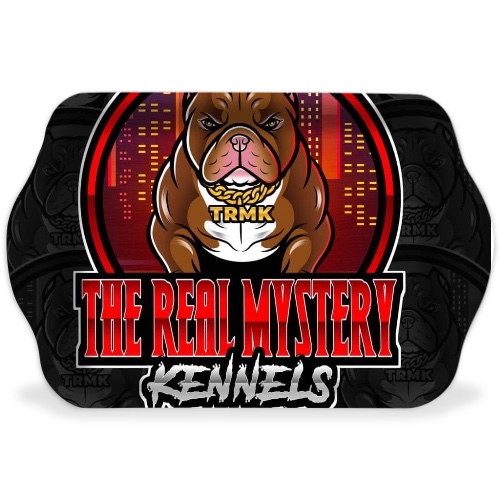 Design 671167 Rolling Trays