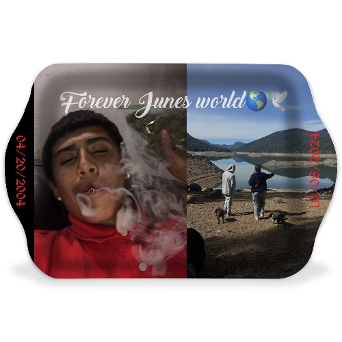 Design 671204 Rolling Trays