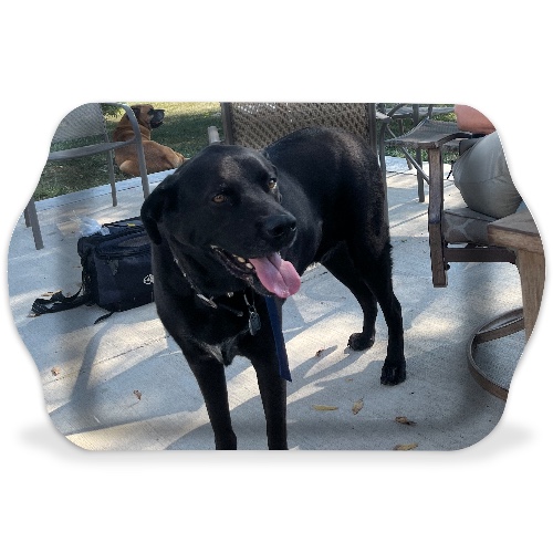 Design 671375 Rolling Trays Image