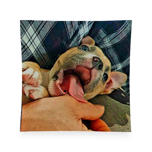 Design 672075 Rolling Trays