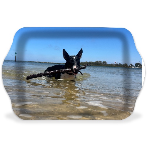 Design 673495 Rolling Trays Image