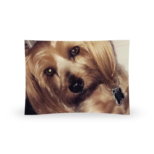 Design 674074 Rolling Trays Image