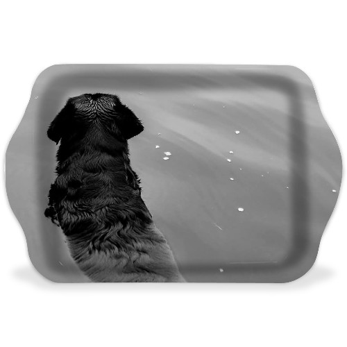 Design 674404 Rolling Trays
