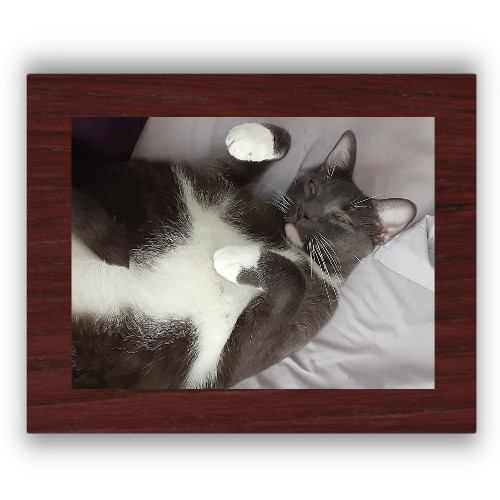Design 674415 Rolling Trays
