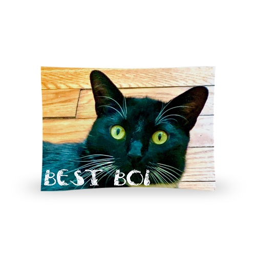 Design 675035 Rolling Trays