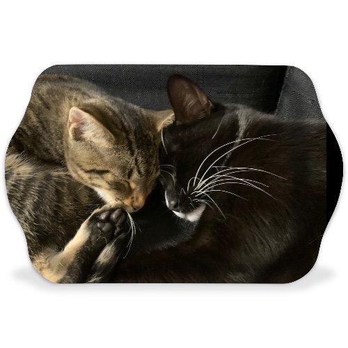 Design 675248 Rolling Trays
