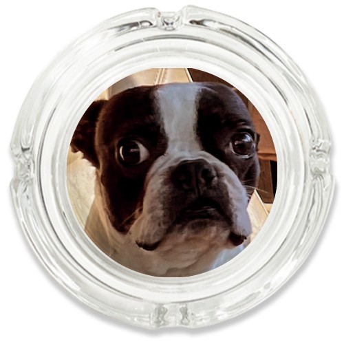 Design 677363 Rolling Trays