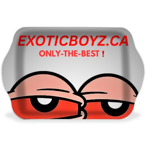 Design 679583 Rolling Trays