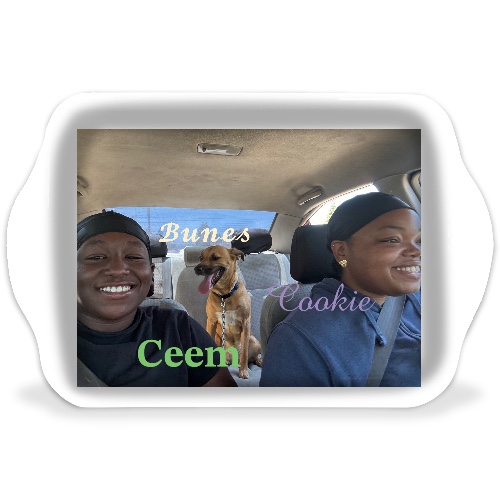 Design 679739 Rolling Trays