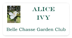 Design 681073 Custom Nametags Image