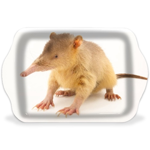 Design 682981 Rolling Trays Image