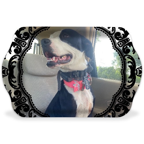 Design 683254 Rolling Trays Image