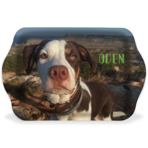 Design 684156 Rolling Trays Image