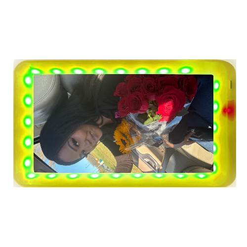 Design 684934 Rolling Trays Image